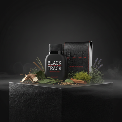 Georges Mezotti Black Track EDT 100ml – Aromatic Woody Men's Cologne