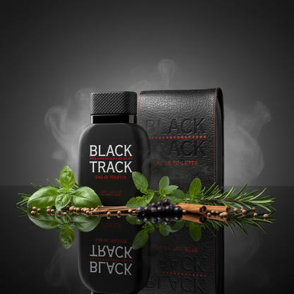 Georges Mezotti Black Track EDT 100ml – Aromatic Woody Men's Cologne