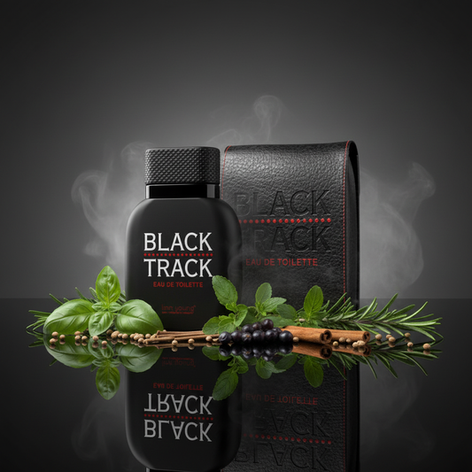 Georges Mezotti Black Track EDT 100ml – Aromatic Woody Men's Cologne